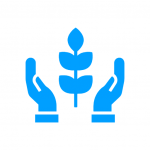 Blue icon of two hands holding a leaf, symbolizing care or protection.